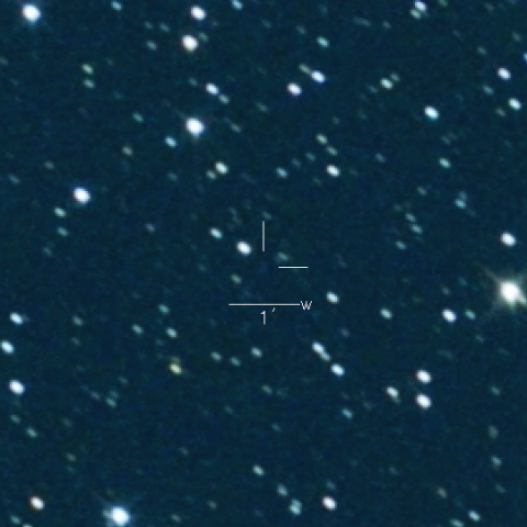 493P(LONEOS )