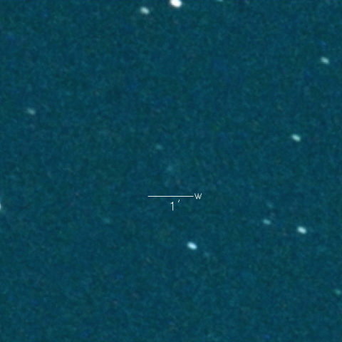 486P(Leonard)