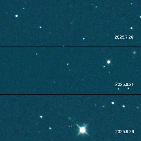 302P(Lemmon-PANSTARRS)の変化
