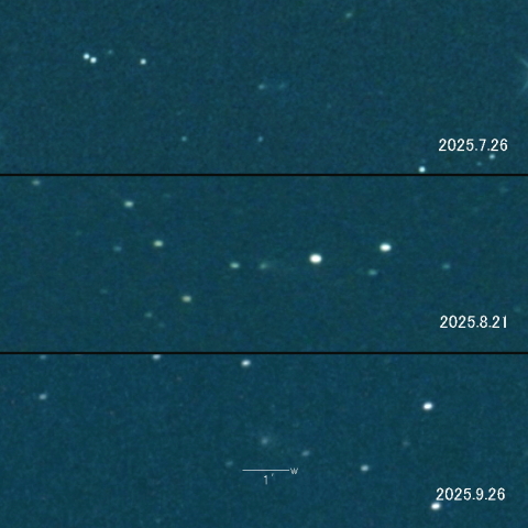 47P(Ashbrook-Jackson)の変化