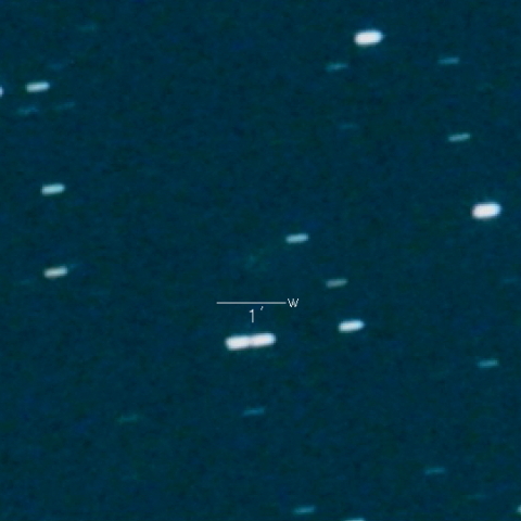 217P(LINEAR)
