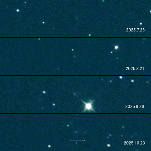 302P(Lemmon-PANSTARRS)の変化