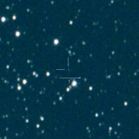493P(LONEOS)