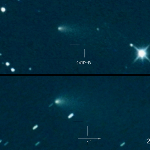 240P-B(NEAT)の変化