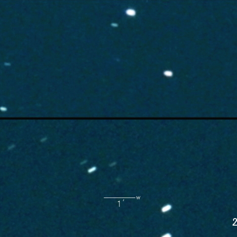 43P(Wolf-Harrington) の変化