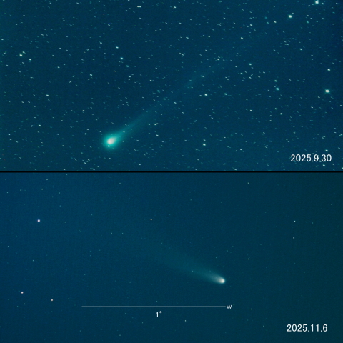 C/2025 A6 (Lemmon) の変化