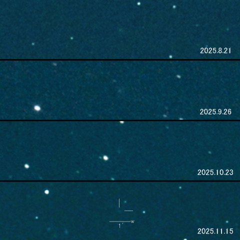 486P（Leonard) の変化