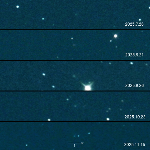 302P（Lemmon-PANSTARRS) の変化