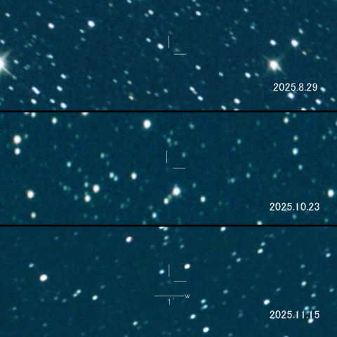 493P（LONEOS）の変化
