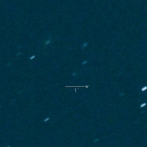 43P（Wolf-Harrington） 