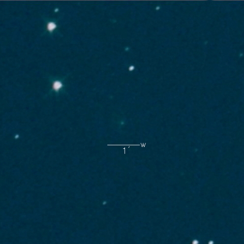 29P（Schwassmann-Wachmann） 