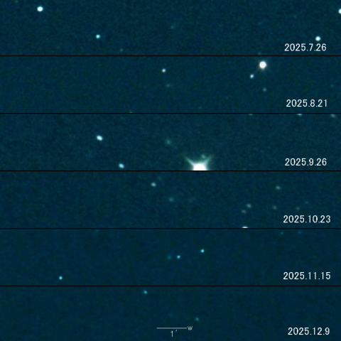 302P（Lemmon-PANSTARRS）の変化