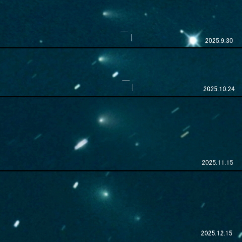 240P（NEAT）B核の変化