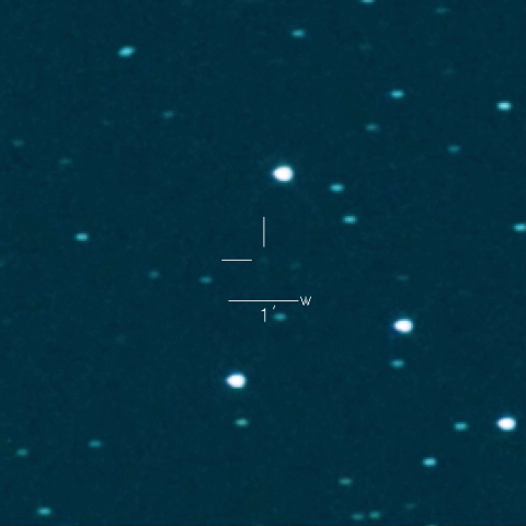 123P（West-Hartley）