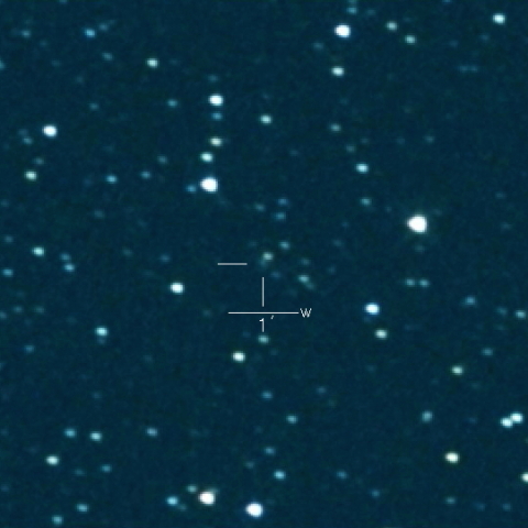 493P(LONEOS)