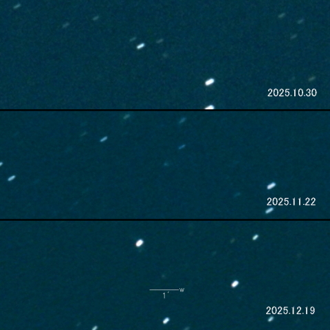 43P（Wolf-Harrington）の変化