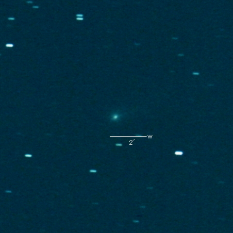 210P（Christensen）