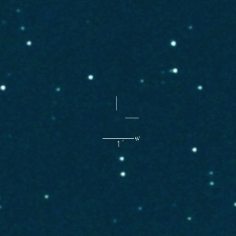 123P（West-Hartley）