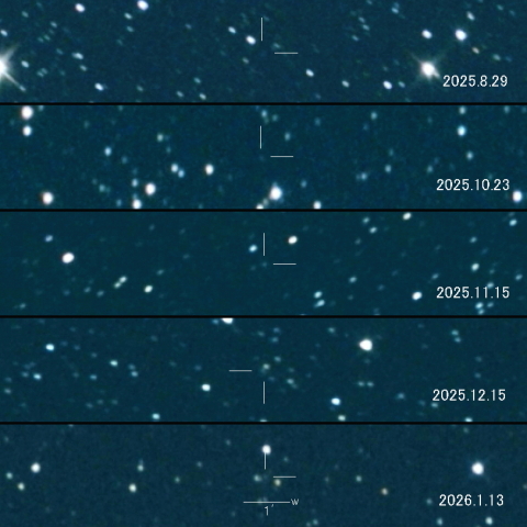 493P（LONEOS）の変化