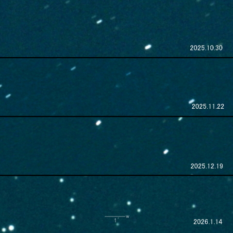 43P（Wolf-Harrington）の変化