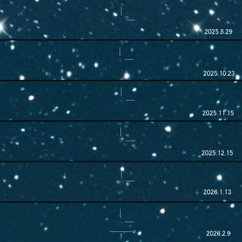 493P（LONEOS）の変化