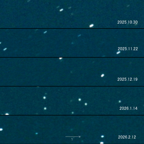 43P（Wolf-Harrington) の変化