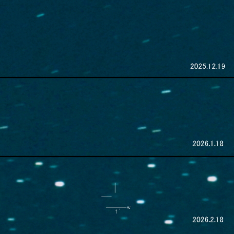 40P（Vaisala）の変化