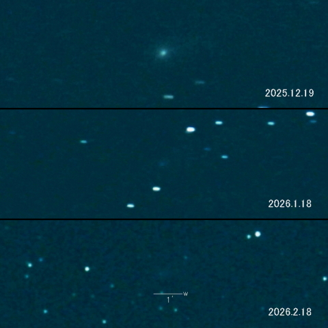 210P(Christensen)の変化