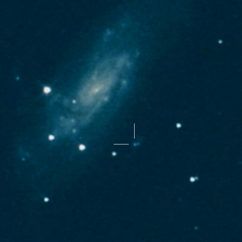 増光したLBV (NGC4559)