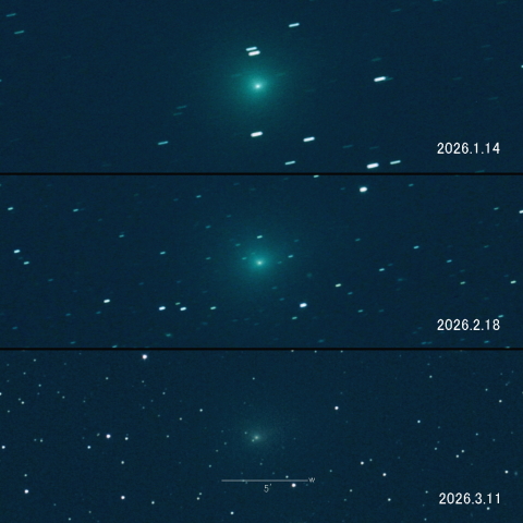 24P（Schaumasse）の変化