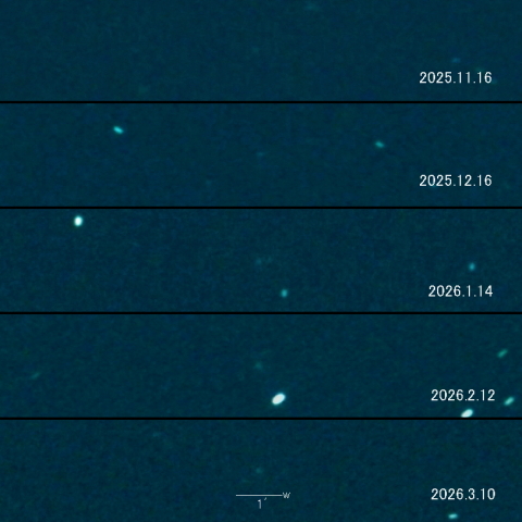 164P（Christensen）の変化