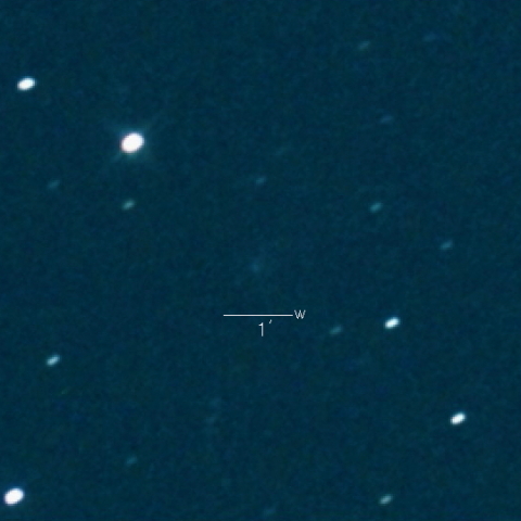 43P（Wolf-Harrington）