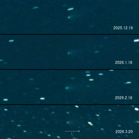 235P（LINEAR) の変化