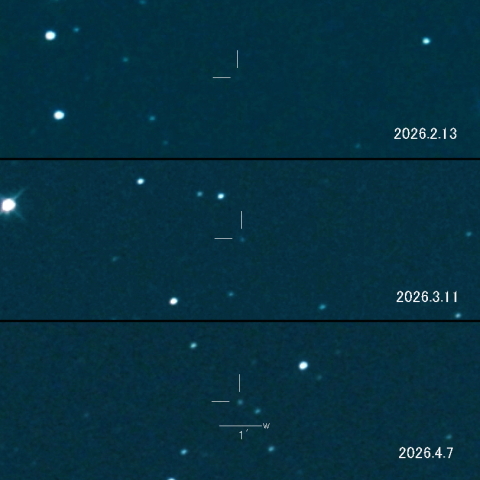 C/2025 Y1 (ATLAS) の変化