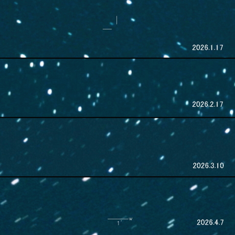 63P（Wild）の変化