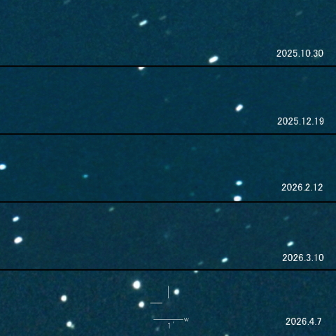 43P（Wolf-Harrington) の変化