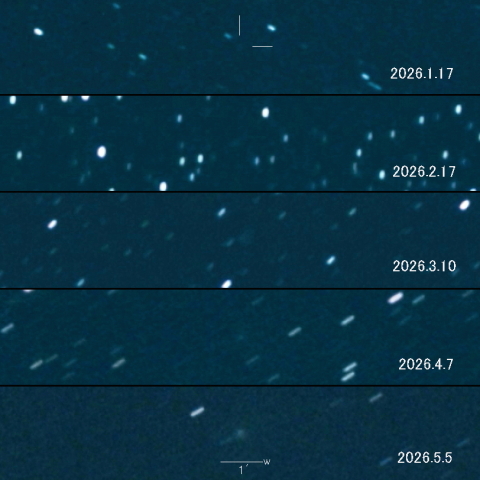 63P（Wild）の変化