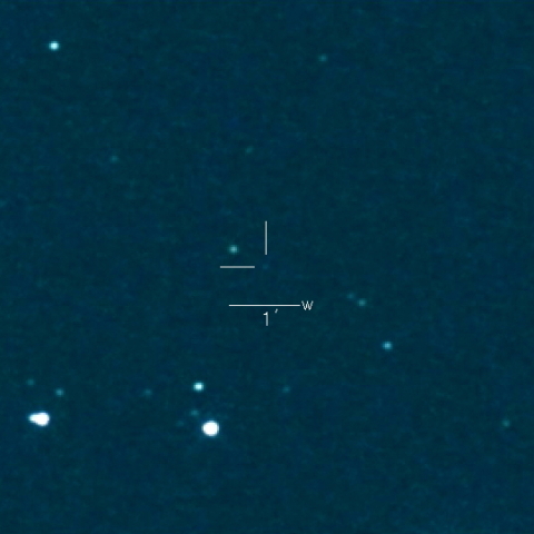 C/2026 C1 (Tsuchinshan)
