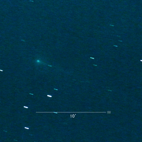 220P（McNaught）