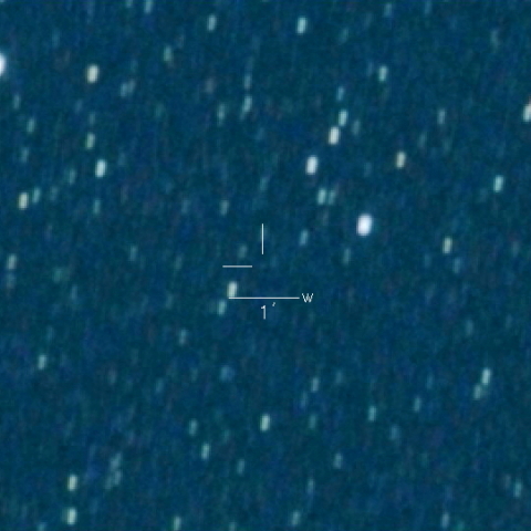 169P（NEAT）