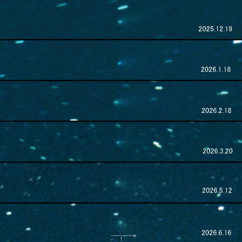 235P（LINEAR）の変化