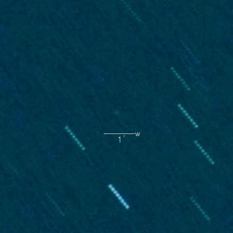 P/2021 N1 (ZTF)
