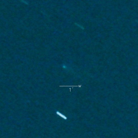 260P（McNaught）