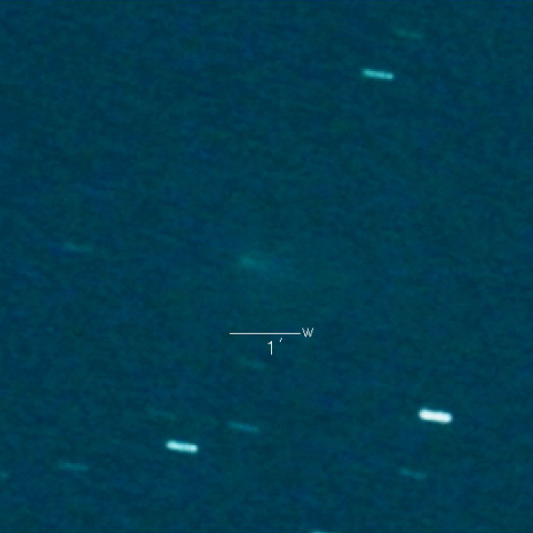 220P（McNaught）