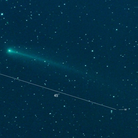220P(McNaught)