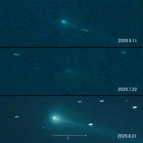 220P（McNaught）の変化