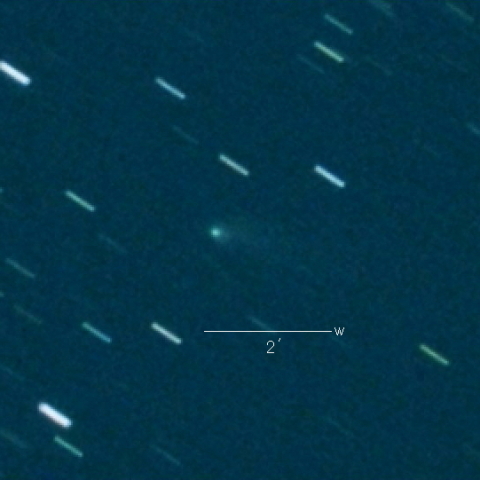 260P（McNaught）