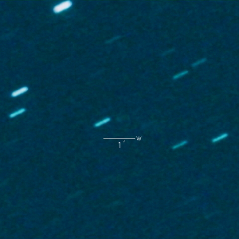114P（Wiseman-Skiff）