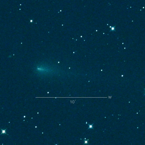 220P（McNaught）