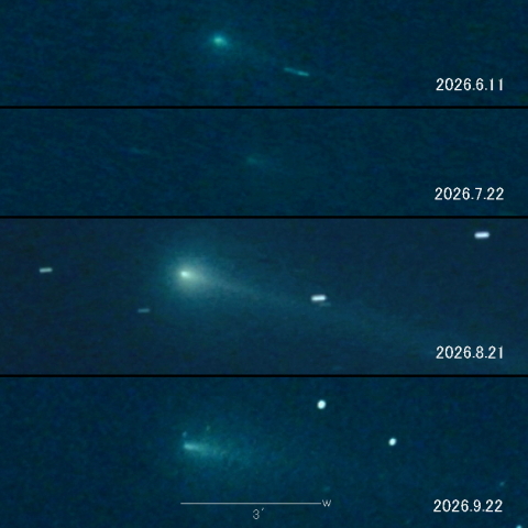 220P（McNaught）の変化